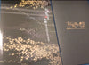 Wagakki Band 和楽器バンド - 軌跡 (Fanclub Version) Best Collection Box set Japan Metal CD+6DVD+3Bluray