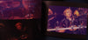 Pierrot x Dir en grey - Androgynos Live DVD Deluxe Version Front Cover