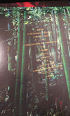Dir en grey Dum Spiro Spero (Limited Box Set) Front Cover