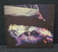 sukekiyo Vitium Limited Edition Front Cover