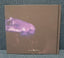 sukekiyo Vitium Limited Edition Back Cover