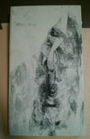 Dir en grey - In Weal or Woe Front Cover