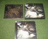 Versailles (Hizaki, Kamijo) Noble (1st Press CD+DVD) - Japan Visual Kei album