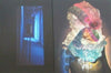 Dir en grey - The Insulated World (Complete Ltd 2CD+Blu-ray) - Japan Metal Visual Kei CD