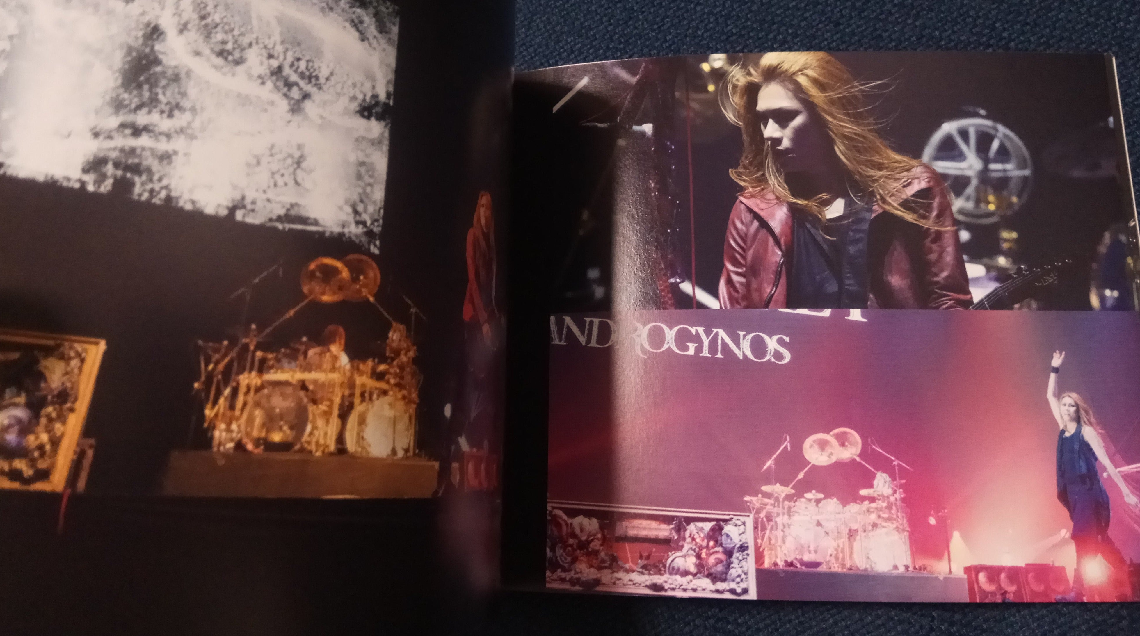 Pierrot x Dir en grey - Androgynos Live DVD Deluxe Version Box set 