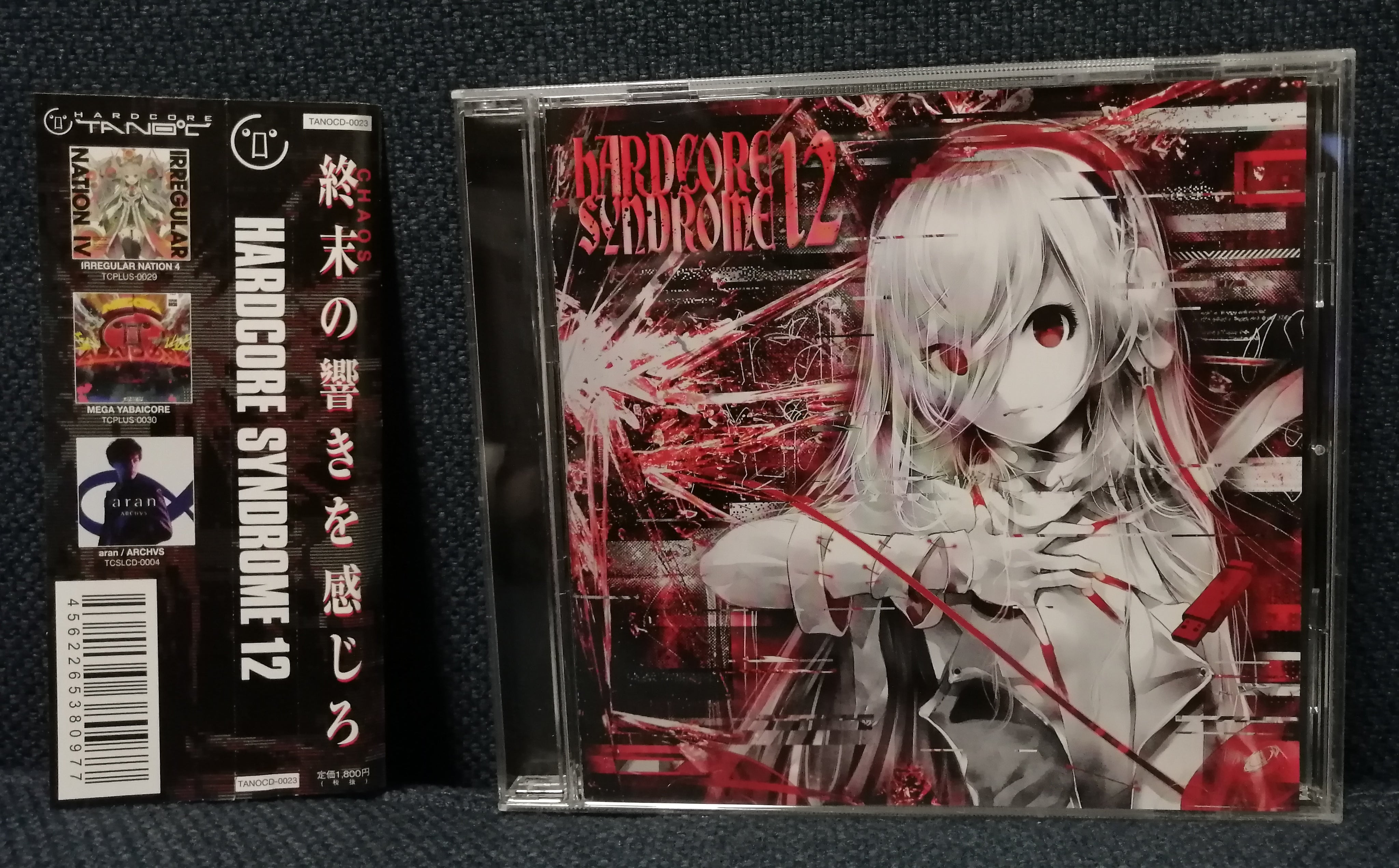 Hardcore Syndrome Vol. 12 Front Cover