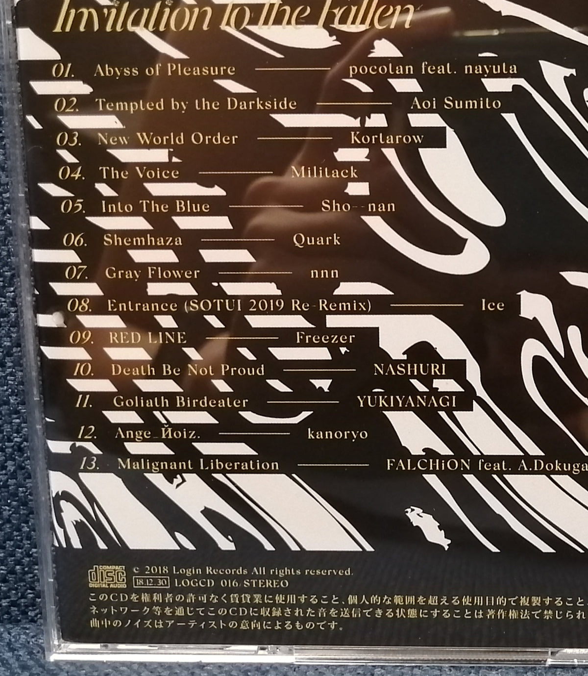 Invitation to the Fallen Backcover