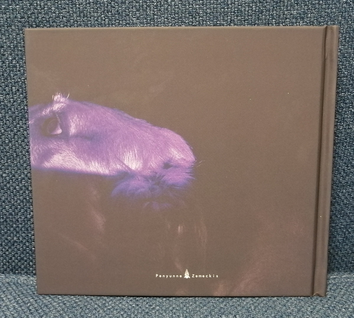 sukekiyo Vitium Limited Edition Back Cover
