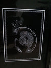 Dir en grey - Despair in the womb DVD Front Cover