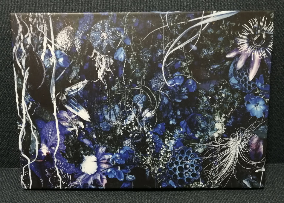 Sugizo (Luna Sea, X Japan) - Oneness M Album 2CD