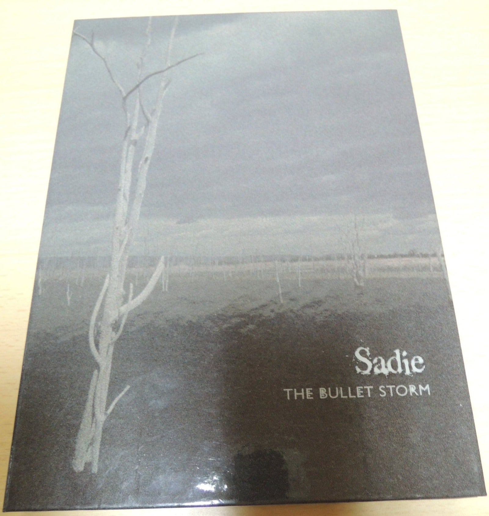 Sadie - The Bullet Storm (Tall case version) CD+DVD Visual Kei MiniAlbum